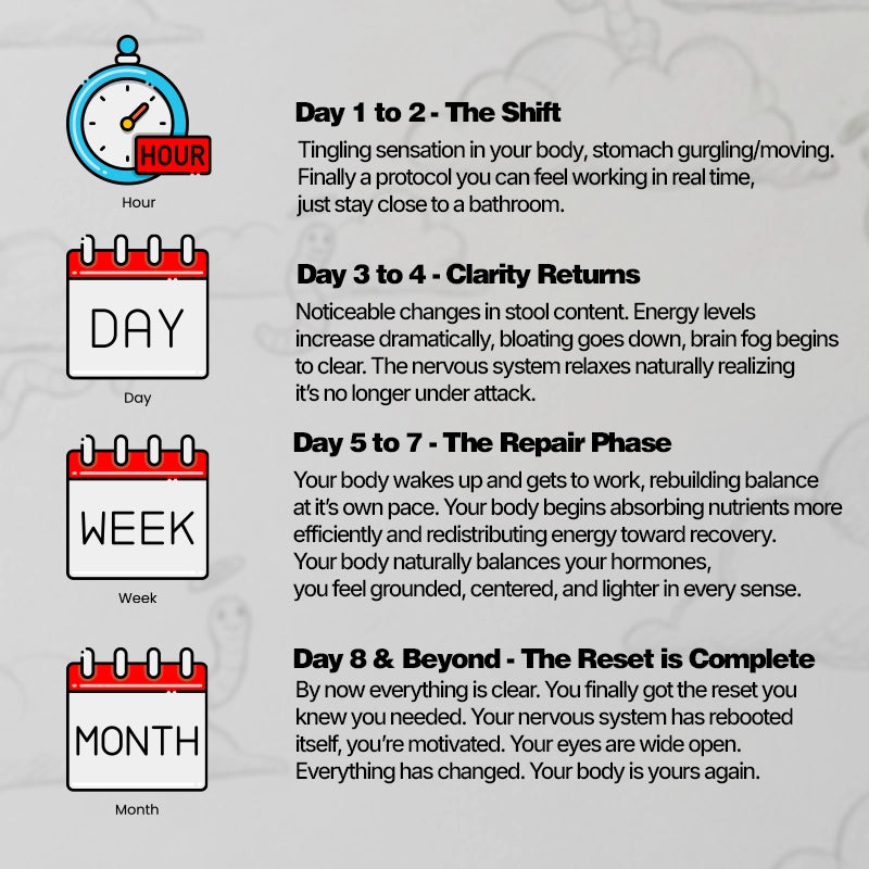 THE 8-DAY RESET PROTOCOL